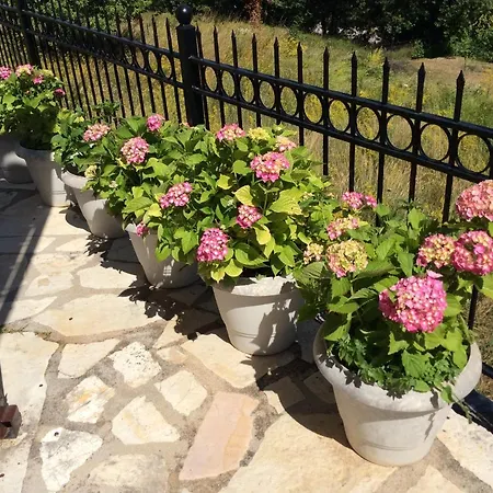 Ey-Giann Guest house